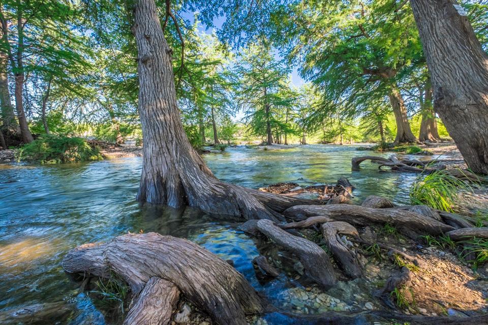 River Bluff Cabins Rio Frio ภายนอก รูปภาพ